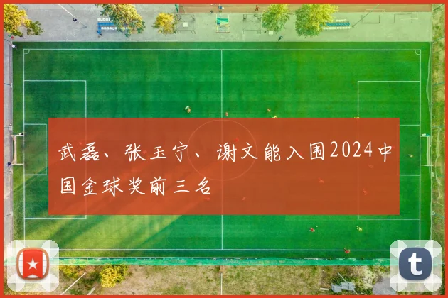武磊、张玉宁、谢文能入围2024中国金球奖前三名